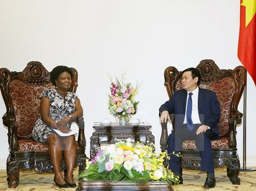 Phó Thủ tướng Vương Đình Huệ tiếp Phó Chủ tịch Ngân hàng Thế giới phụ trách châu Á – Thái Bình Dương - ảnh 1